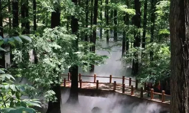 【出游正當時】5月6日松鼠戶外香植溜腿