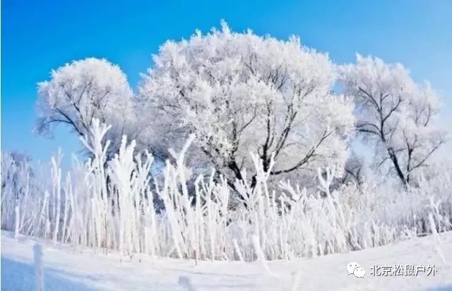 【元旦雪鄉(xiāng)】丨冰雪童話世界，雪谷、雪鄉(xiāng)、霧凇島、哈爾濱冰燈，體驗東北林海雪原，跨年火車團(tuán)，不用請假