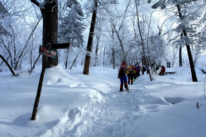 哈爾濱雪鄉雪谷旅游記錄