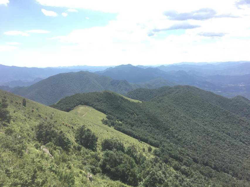 東靈山自然環(huán)境