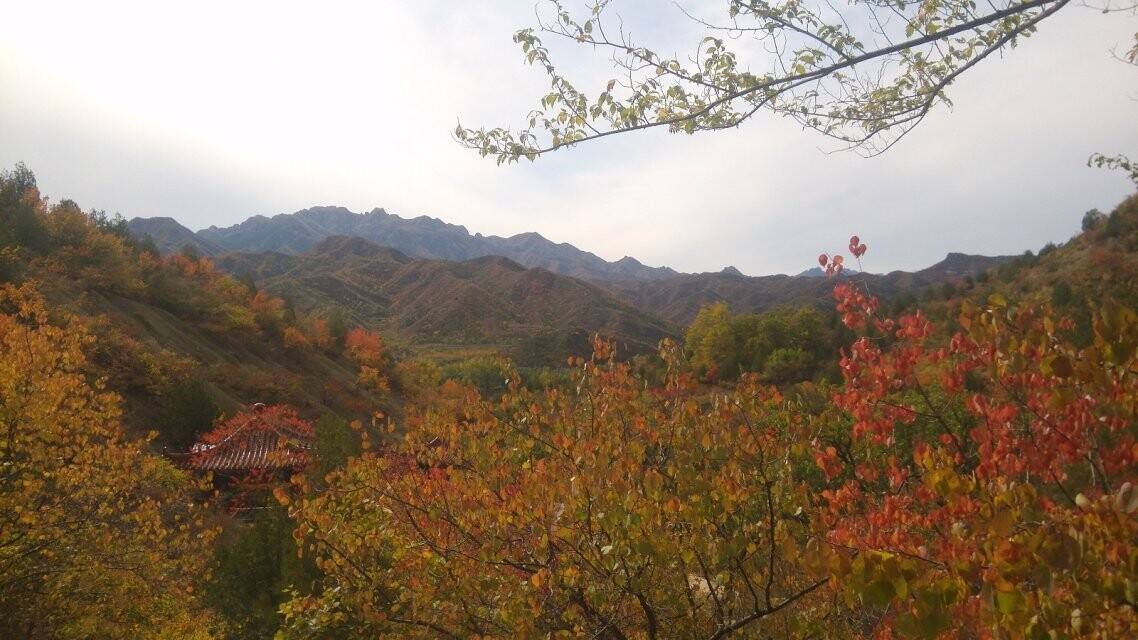 北京野蘑菇戶外俱樂部好嗎，蘑菇旅行怎么樣