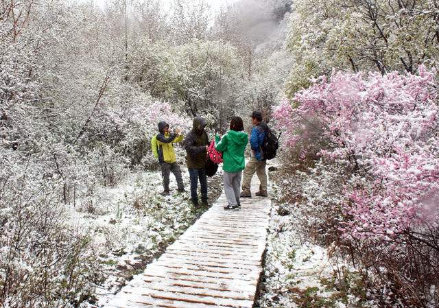 北京野蘑菇戶外俱樂部好嗎，蘑菇旅行怎么樣