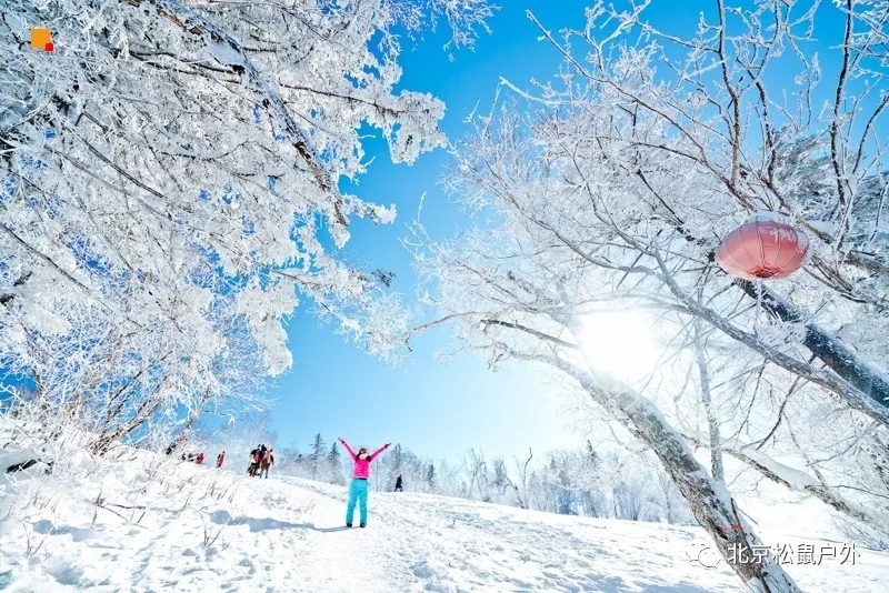 「2021年元旦雪鄉(xiāng)旅游」雪谷雪鄉(xiāng)徒步穿越，戶(hù)外純玩線(xiàn)路